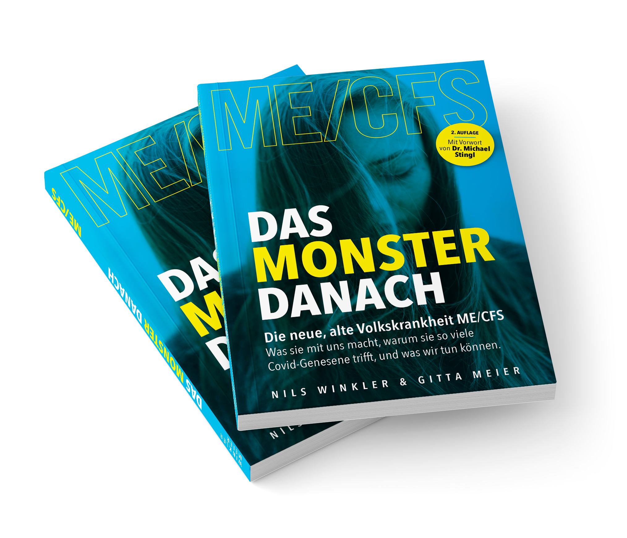 Buchtitel ME/CFS-Buch "Das Monster danach"