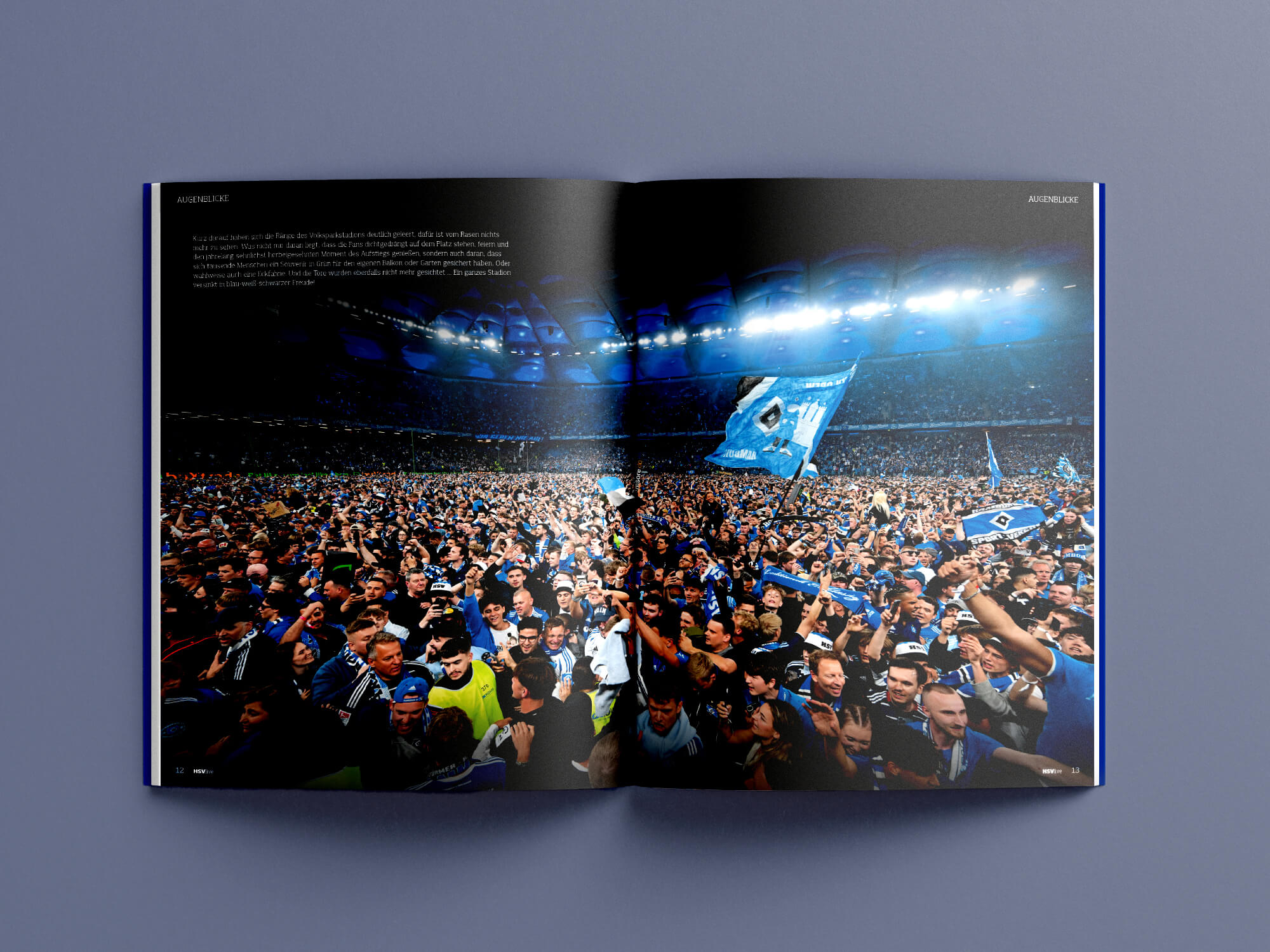 Innenseiten-Mockup einer Aufstiegsgeschichte aus 2025 in der HSVlive